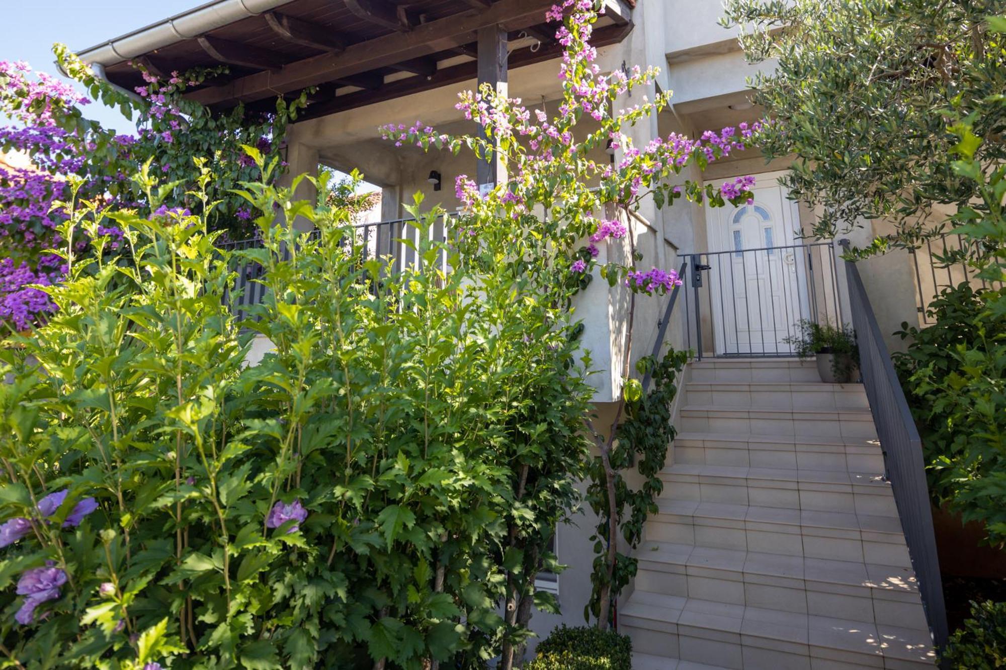 Lumaja Luxury Apartman Biograd Na Moru Buitenkant foto